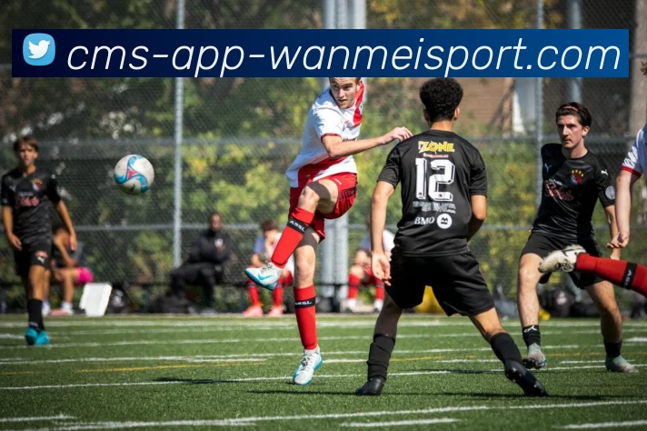 完美体育app平台生态图